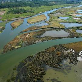 Delta de la Leyre