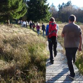 Aménagement d'un sentier de randonnée à Millevaches en Corrèze