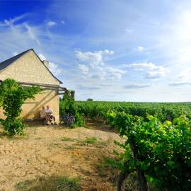 Loge de vigne © Christophe Petiteau