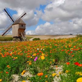 Moulin de Dosches