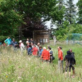 Portes ouvertes abeilles dans le jardin de la Maison du Parc du Pilat