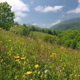 © PNR Massif des Bauges