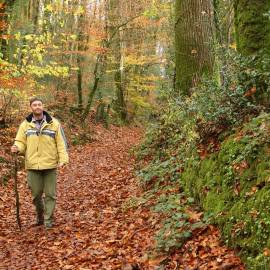 Randonneur en forêt- PNR Golfe du Morbihan