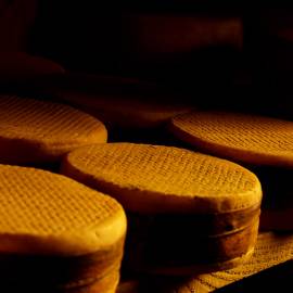 Fromage fermier Parc Pyrénées Ariégeoises