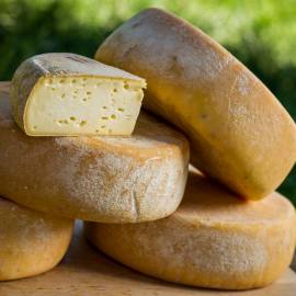 Tomme des Pyrénées au lait cru