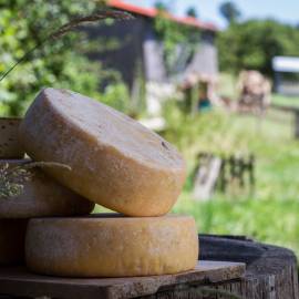 Fromage fermier Parc Pyrénées Ariégeoises