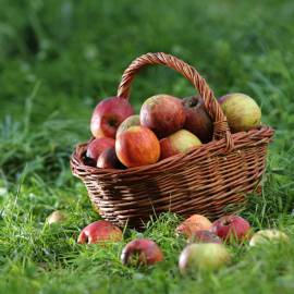 Pommes du Parc des Pyrénées Ariégeoises