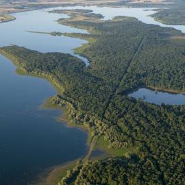 Réserve Naturelle Nationale de la Forêt d'Orient