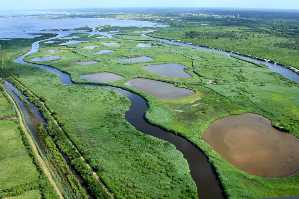 Parc naturel régional des Landes de Gascogne Fédération des Parcs naturels régionaux