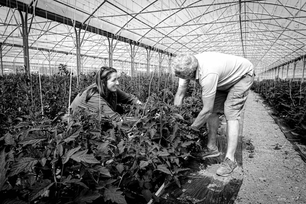 les jardins de brinville maraichers federation des parcs naturels regionaux