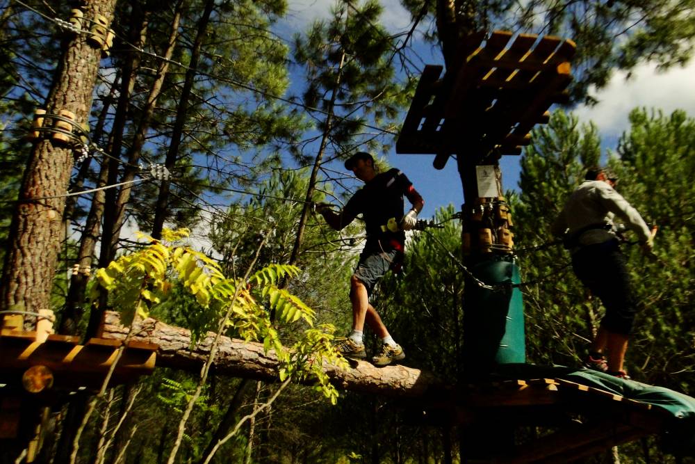 Les Ifers Les Arbres De L Aventure