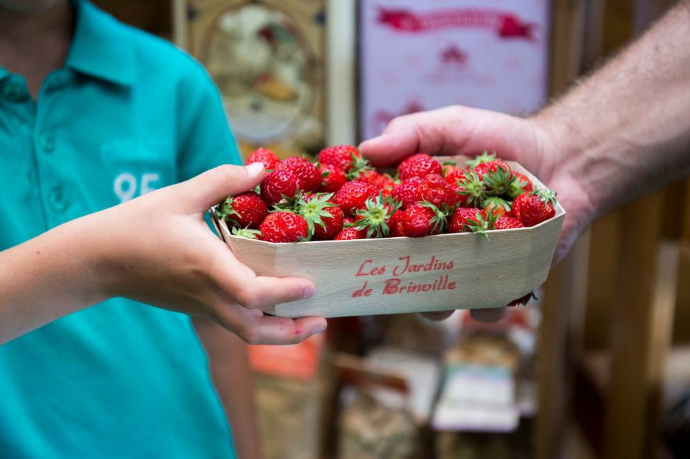 les jardins de brinville maraichers federation des parcs naturels regionaux