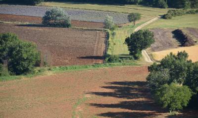 Plateau de Sault - automne