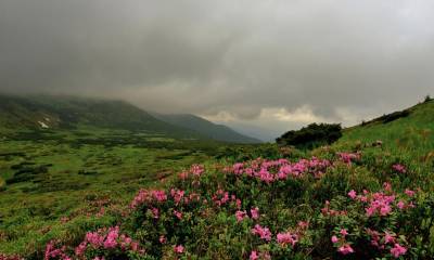 Ukrainian Carpathian Mountains