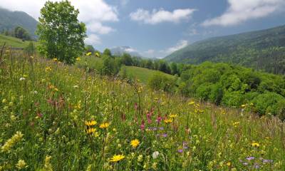 © PNR Massif des Bauges