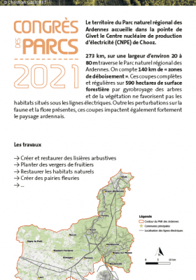 Marché initiatives Ardennes 2021