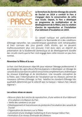 Marché initiatives Boucles Seine 1 2021