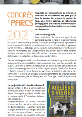 Marché initiatives Verdon 2021