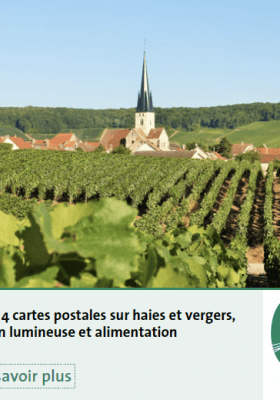 Série cartes postales Montagen de Reims Séminiaire agriculture 2021