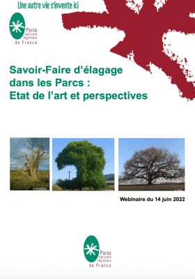 Savoir-faire d’élagage dans les Parcs : état de l’art et perspectives, visio-conférence 14 juin 2022
