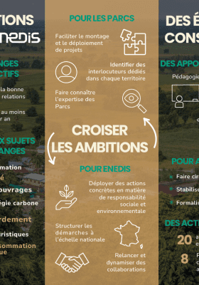 Infographie Partenaire de transition
