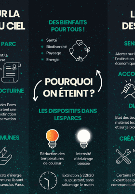 Redécouvrir la nuit -infog page 1