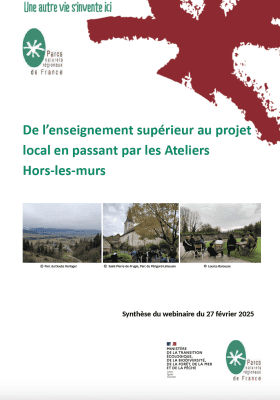 Photo synthèse webinaire ateliers hors les murs février 2025