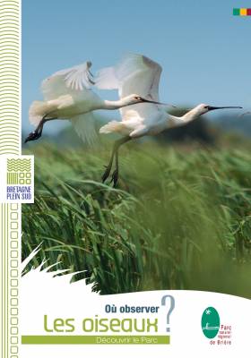 9 parcours à la découverte des oiseaux d'eau dans le Parc naturel régional de Brière
