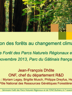 Adaptation des forêts au changement climatique