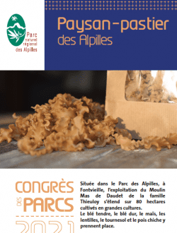 Marché initiatives Alpilles2 2021