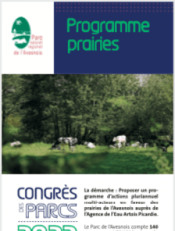 Un programme pour maintenir les prairies permanentes