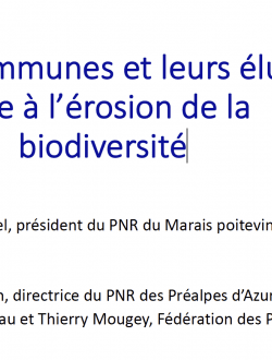 Atelier 1 - Les communes et leurs élus, face à l’érosion de la biodiversité