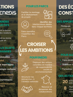 Infographie Partenaire de transition