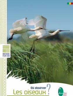 9 parcours à la découverte des oiseaux d'eau dans le Parc naturel régional de Brière